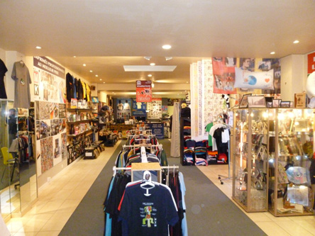 Section Thumbnail